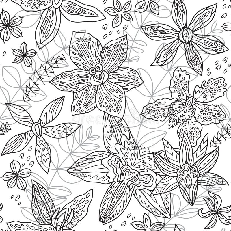 Cubra flores nativas australianas das orquídeas Teste padrão sem emenda no contorno Ilustra??o do vetor ilustração do vetor Cubra flores nativas australianas das orquídeas Teste padrão sem emenda no contorno Ilustra??o do vetor ilustração do vetor