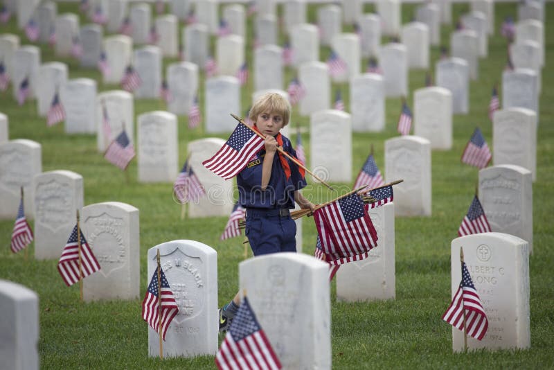 Cubscout setzt eins von 85, 000 US-Flaggen bei Memorial Day -Ereignis 2014, Los Angeles-nationaler Friedhof, Kalifornien, USA lizenzfreies stockbild Cubscout setzt eins von 85, 000 US-Flaggen bei Memorial Day -Ereignis 2014, Los Angeles-nationaler Friedhof, Kalifornien, USA lizenzfreies stockbild