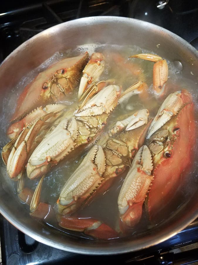 Cucinare il granchio di Dungeness appena catturato con la famiglia di Newport Oregon fotografia stock libera da diritti Cucinare il granchio di Dungeness appena catturato con la famiglia di Newport Oregon fotografia stock libera da diritti