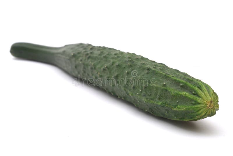 Cucumber