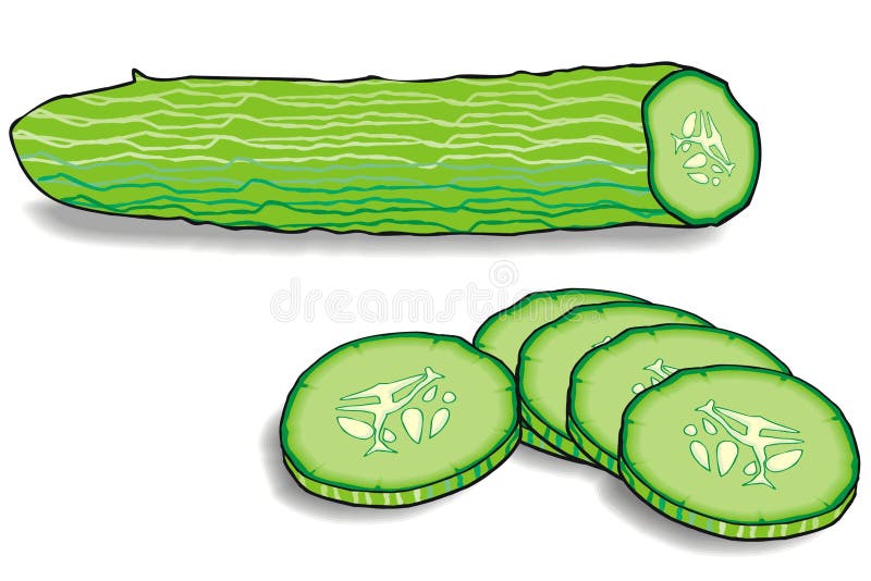 Cucumber