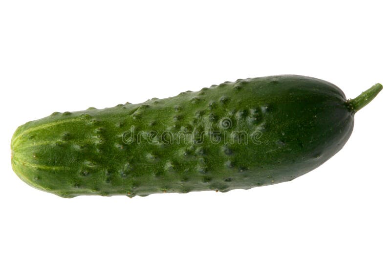 Cucumber