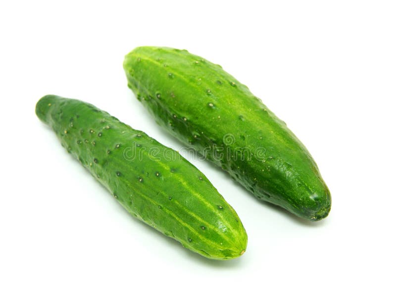 Cucumber