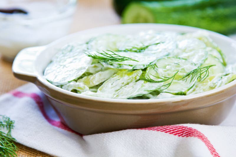 Cucumber with Celery and Dill salad stock images