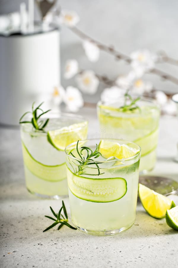 Cucumber gin gimlet stock photo. Image of honey, lime 177670774
