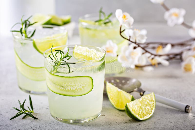 Cucumber gin gimlet stock photo. Image of lime, honey 177670830