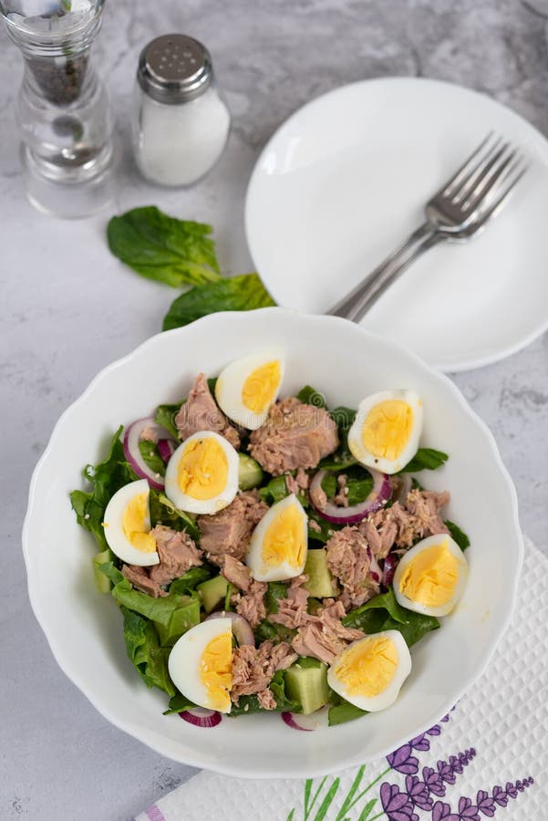 Cucumber Salad with Canned Tuna and Avocado with Egg Stock Photo Image of seafood, fish 219186002