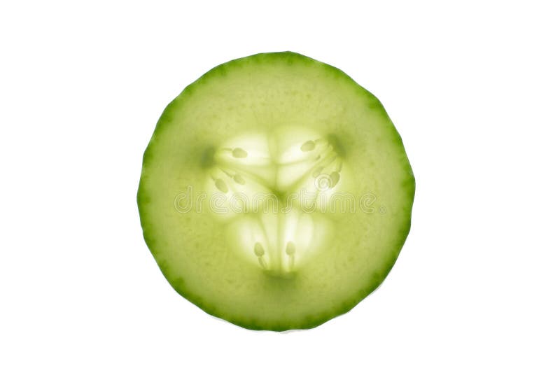 Cucumber Slice