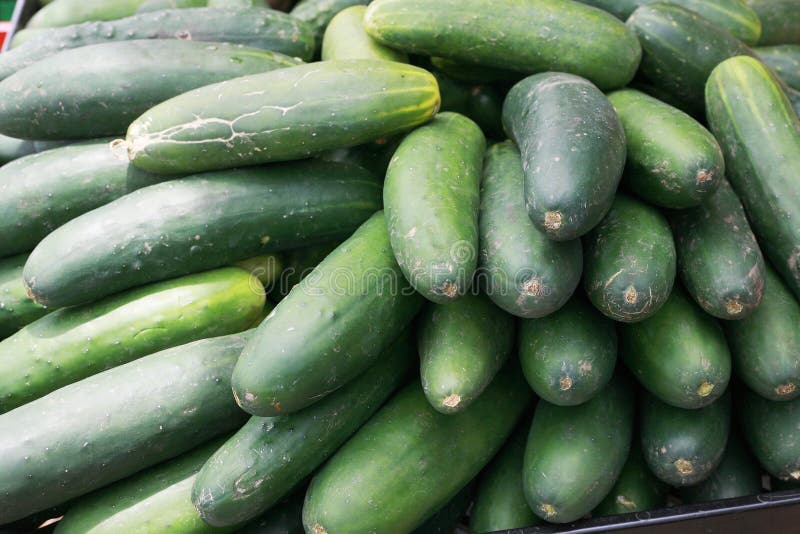 Cucumbers stock photo. Image of peel, agriculture, firm 21257292