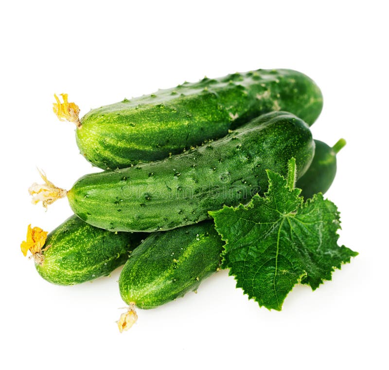 Wax gourd stock photo. Image of background, green, tender 31608506