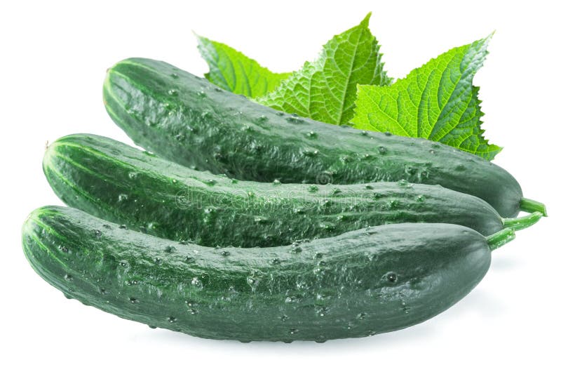 Cucumbers with leaves.