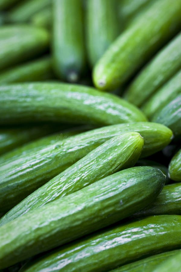 Cucumbers for Sale at Market Stock Image Image of ripe, vendor 13346343