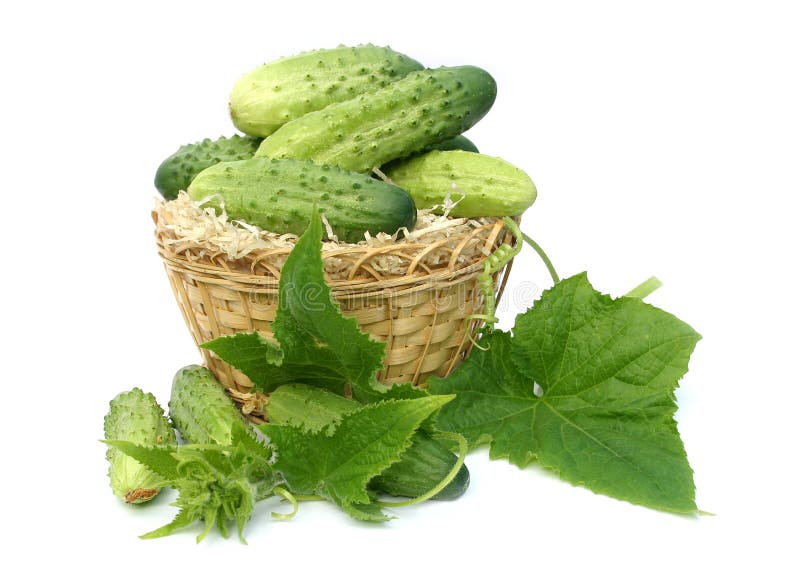 Cucumbers in a yellow wum basket