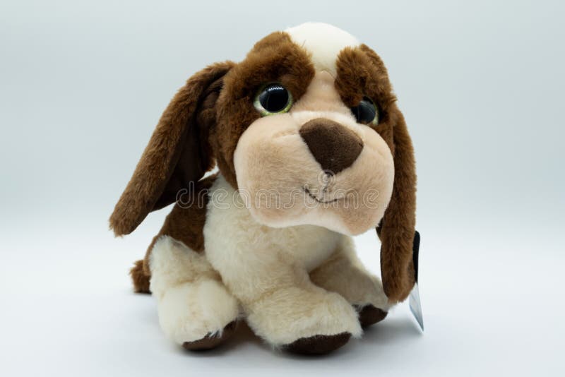Spaniel with soft toy stock photo. Image of outside, brown - 17001694