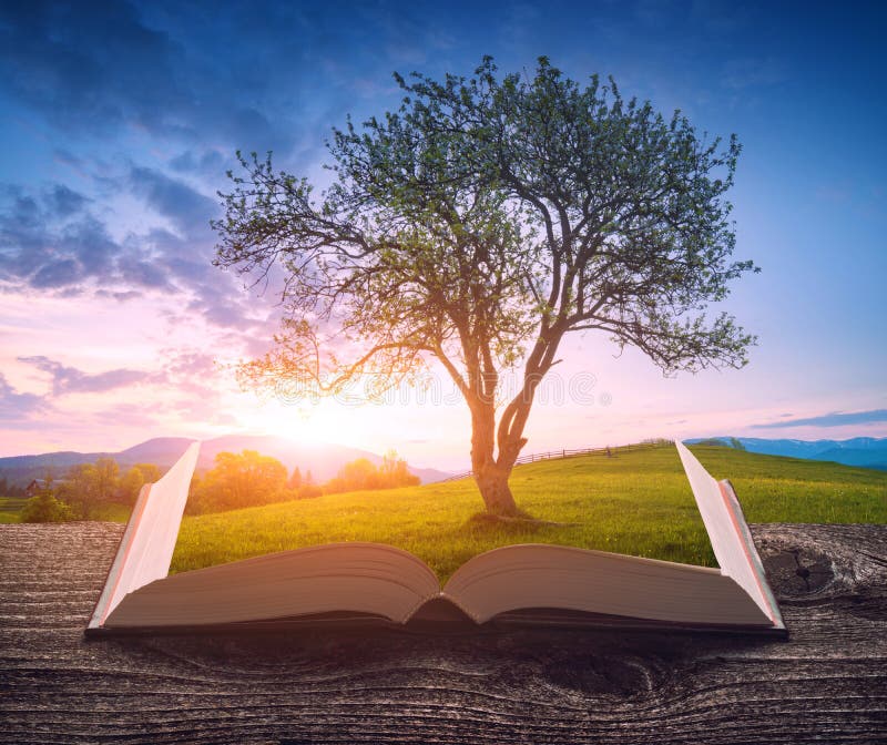 Wonderful valley in a evening light with big tree on a green hill on the pages of an open magical book. Majestic landscape. Travel and education concept. Wonderful valley in a evening light with big tree on a green hill on the pages of an open magical book. Majestic landscape. Travel and education concept