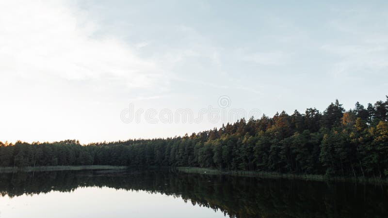 Cudowny widok jezioro w lesie na ciepłym letnim dniu obraz royalty free Cudowny widok jezioro w lesie na ciepłym letnim dniu obraz royalty free