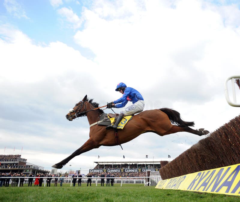 Cue card jumps the last on his way to winning at cheltenham 14-3-13. Cue card jumps the last on his way to winning at cheltenham 14-3-13