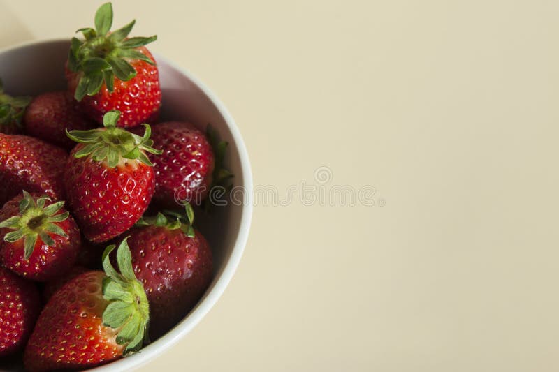 Cuenco de cerámica blanco por completo de fresas de cosecha propia muy maduras foto de archivo libre de regalías Cuenco de cerámica blanco por completo de fresas de cosecha propia muy maduras foto de archivo libre de regalías