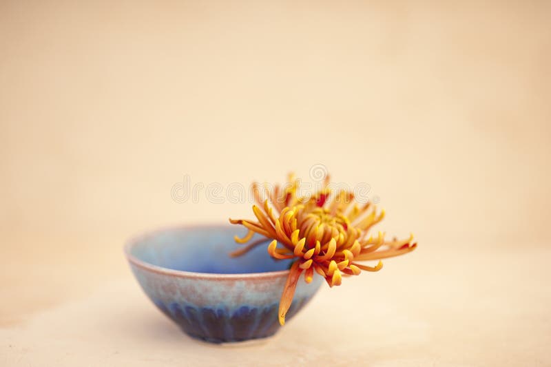 Loving Kindness. Photograph of a simple hand crafted ceramic bowl with a flower. Loving Kindness. Photograph of a simple hand crafted ceramic bowl with a flower.