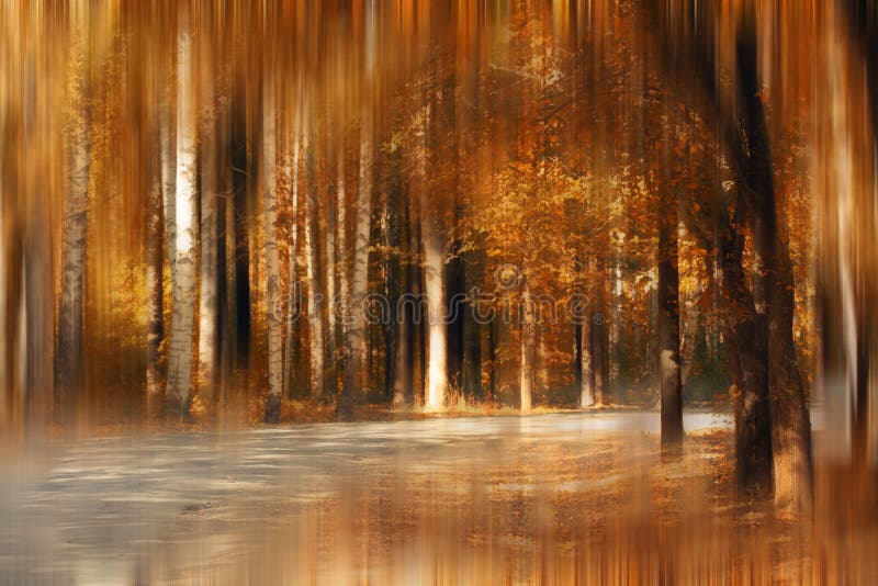 Cuento de hadas de la falta de definición del parque del otoño fotografía de archivo libre de regalías Cuento de hadas de la falta de definición del parque del otoño fotografía de archivo libre de regalías