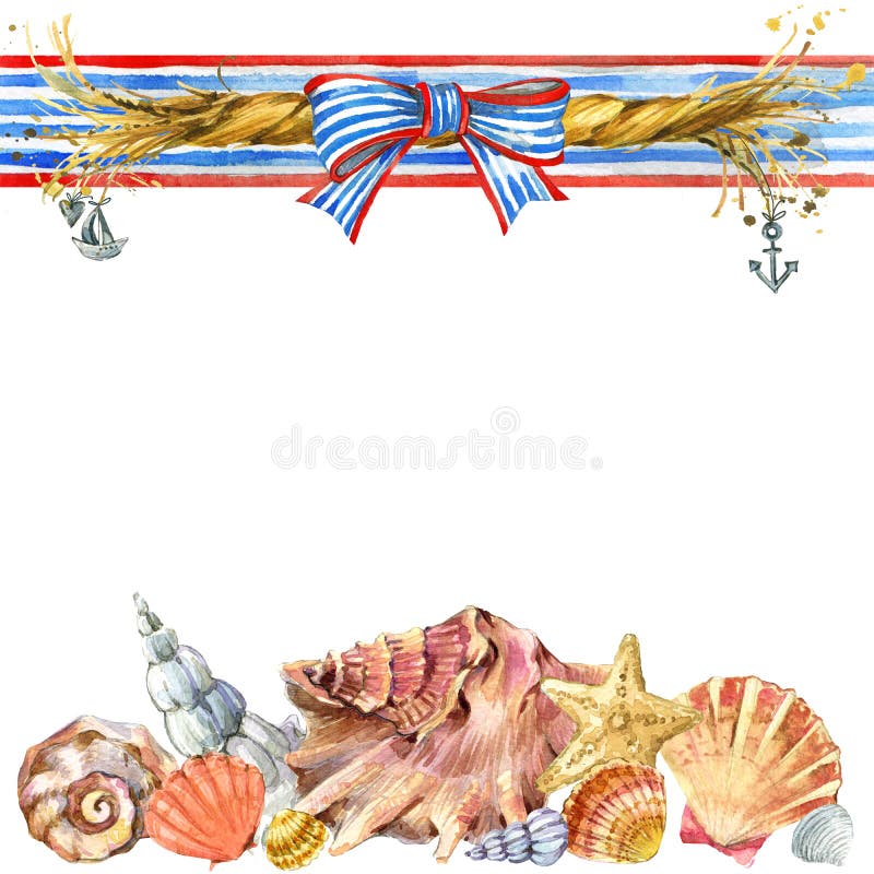 Seashell and sea ship rope background, watercolor illustration background. Seashell and sea ship rope background, watercolor illustration background