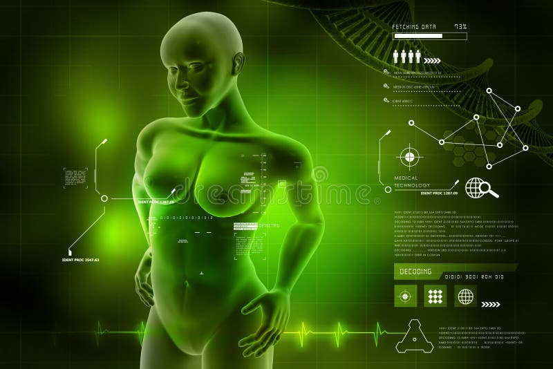 Cuerpo humano femenino de la mujer ilustración del vector Cuerpo humano femenino de la mujer ilustración del vector