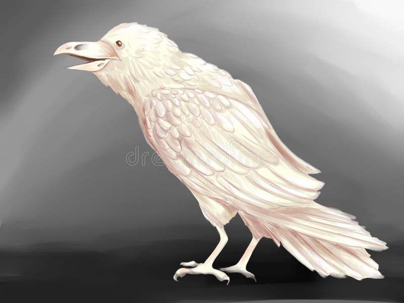 Cuervo blanco stock de ilustración. de bosquejos - 42165450