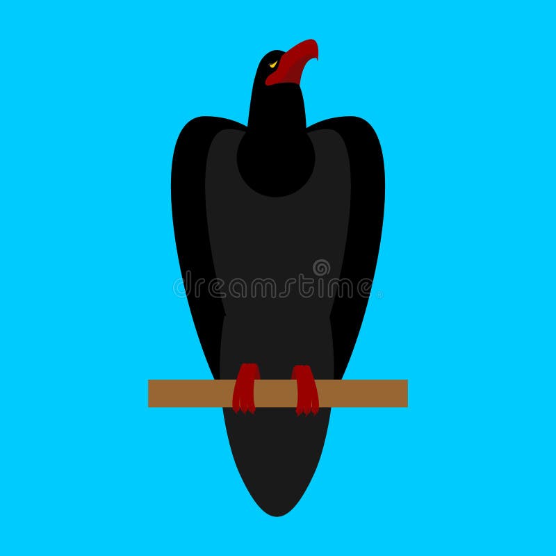 Cuervo negro aislado Pájaro grande en fondo azul libre illustration