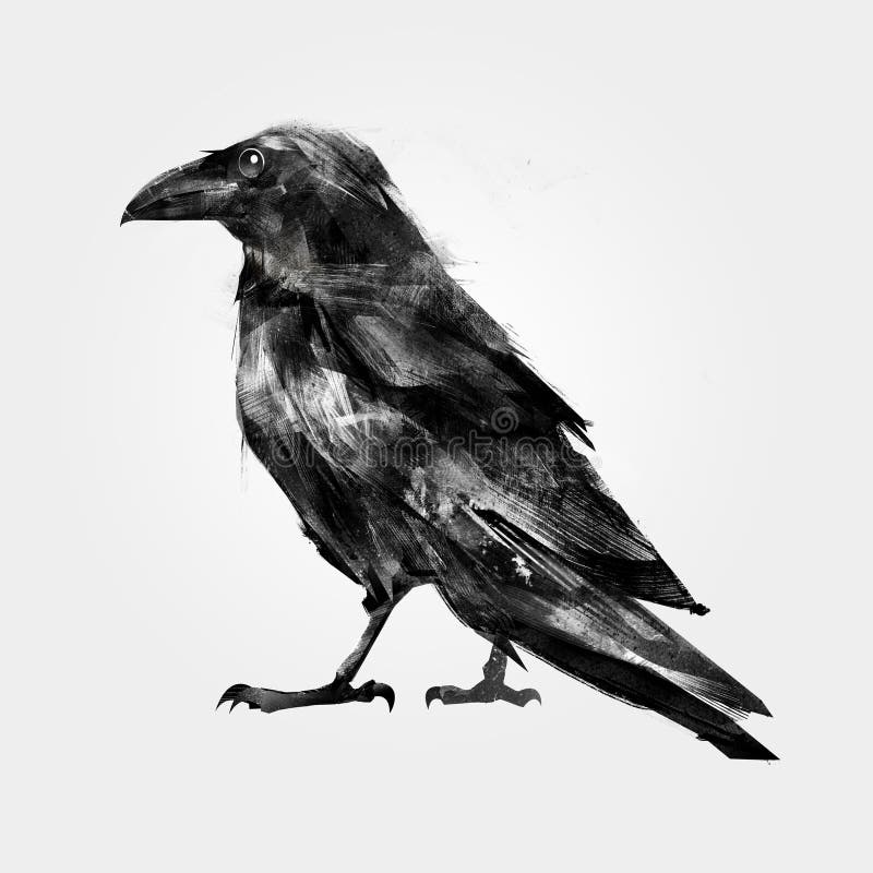 Cuervo pintado aislado del pájaro que se sienta libre illustration Cuervo pintado aislado del pájaro que se sienta libre illustration