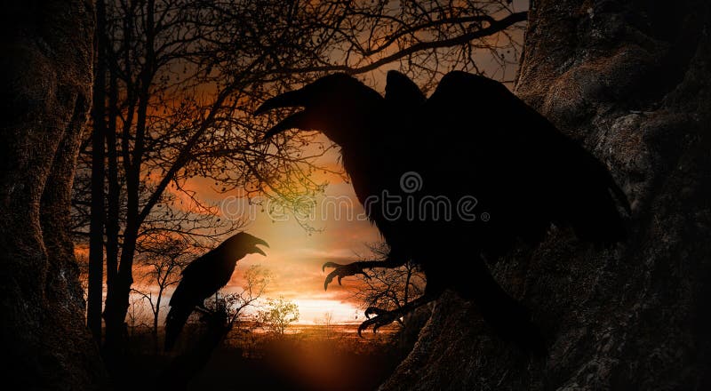 Cuervos negros croando en el bosque al atardecer. mundo de fantasía foto de archivo libre de regalías