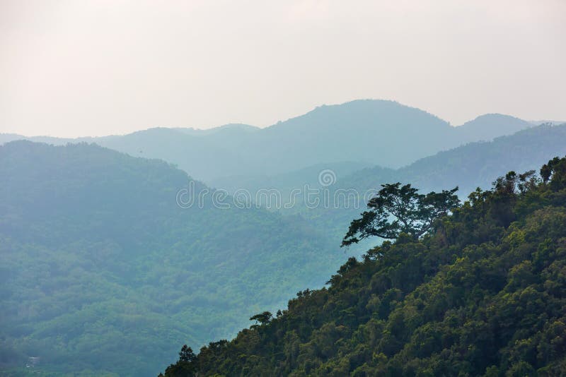 Cuesta de la lluvia Forest Hainan, China de Yanoda de la selva tropical imagen de archivo libre de regalías Cuesta de la lluvia Forest Hainan, China de Yanoda de la selva tropical imagen de archivo libre de regalías