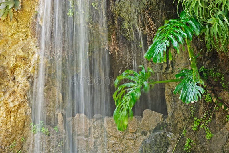 Cueva, cascada y planta acuática en Parque Genoves, Cádiz fotografía de archivo