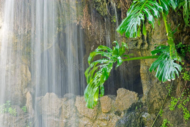 Cueva, cascada y planta acuática en Parque Genoves, Cádiz fotos de archivo