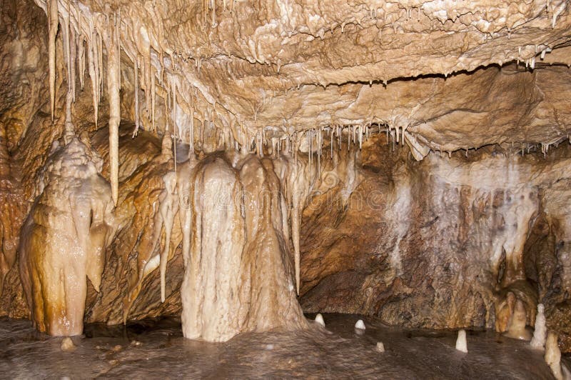 Cueva del oso fotografía de archivo libre de regalías Cueva del oso fotografía de archivo libre de regalías