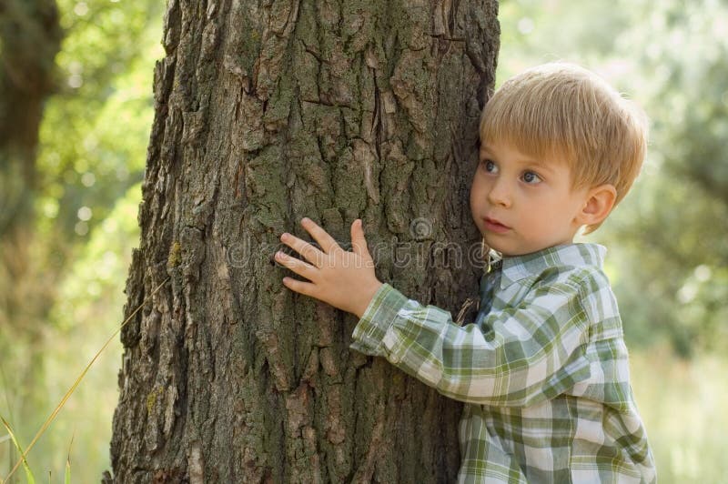 Cuidado para la naturaleza - árbol del abrazo del niño pequeño foto de archivo Cuidado para la naturaleza - árbol del abrazo del niño pequeño foto de archivo