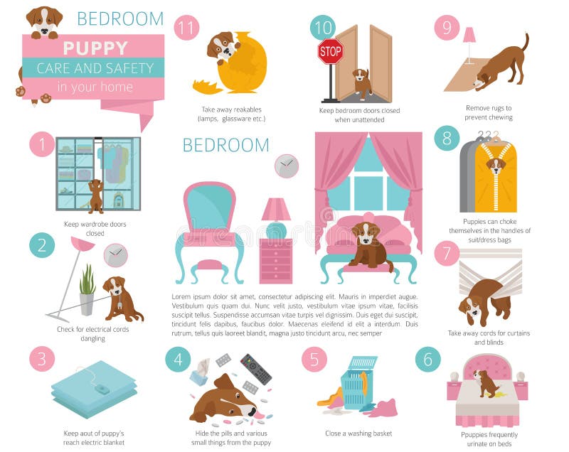 Cuidado y seguridad del perrito en su hogar Dormitorio Entrenamiento del perro casero adentro stock de ilustración Cuidado y seguridad del perrito en su hogar Dormitorio Entrenamiento del perro casero adentro stock de ilustración