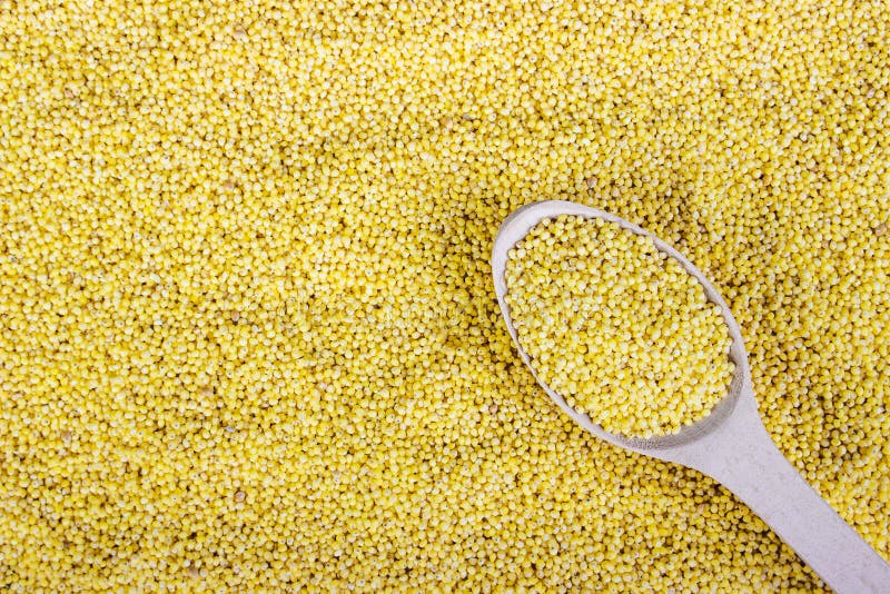 Cuillère en bois avec des grains de millet sur le fond de cuillère photos libres de droits Cuillère en bois avec des grains de millet sur le fond de cuillère photos libres de droits