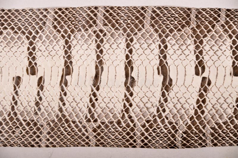 balenciaga trainers speed femme