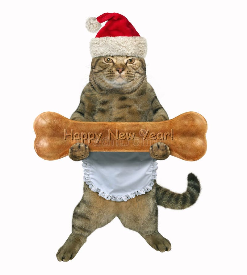 Cuisinier de chat de nouvelle année avec l'os image stock Cuisinier de chat de nouvelle année avec l'os image stock