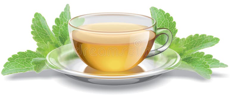 Herbaciana filiżanka z stevia liśćmi