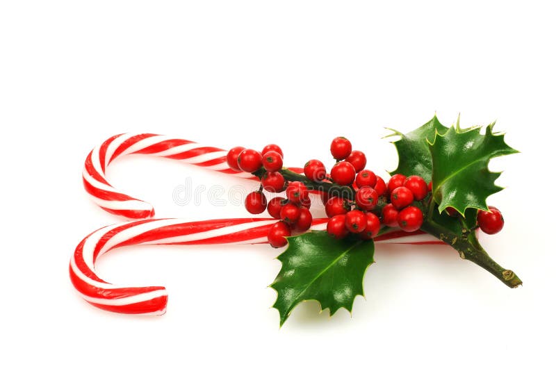 Christmas candy canes with a branch of holly on a white background. Christmas candy canes with a branch of holly on a white background