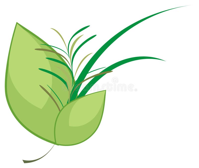 Illustration of culinary herbs bouquet on white background. Cartoon chop illustrations
