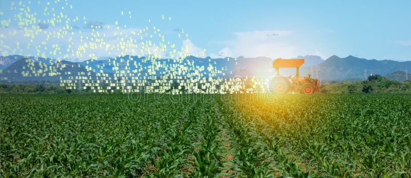 Cultivo elegante de Iot, agricultura en la industria 4 0 tecnologías con concepto de la inteligencia artificial y del aprendizaje