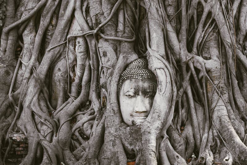 Culto della Tailandia, statua di Buddha, storia della Tailandia immagini stock libere da diritti Culto della Tailandia, statua di Buddha, storia della Tailandia immagini stock libere da diritti