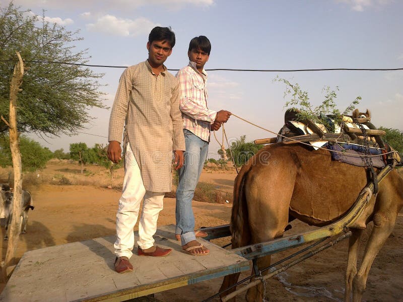 CULTURA DEL TRANSPORTE DEL CARRO DEL CAMELLO DE LA INDIA RAJASTHÁN, MONTAR A CABALLO DEL CAMELLO imagenes de archivo CULTURA DEL TRANSPORTE DEL CARRO DEL CAMELLO DE LA INDIA RAJASTHÁN, MONTAR A CABALLO DEL CAMELLO imagenes de archivo