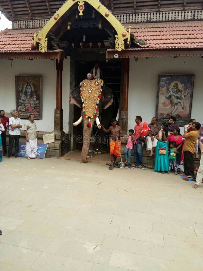 Culture of kerala. elephant weared caparison