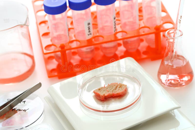 Lab Grown Cultured Meat Concept for Artificial in Vitro Cell Culture