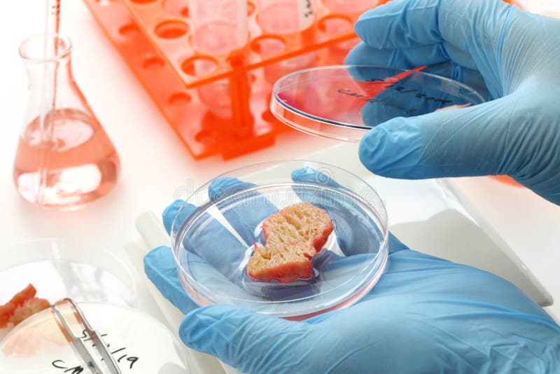 Lab Grown Cultured Meat Concept for Artificial in Vitro Cell Culture