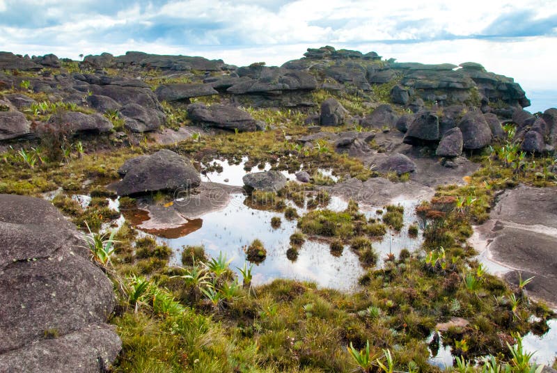 Cumbre de Roraima Tepui, Gran Sabana, Venezuela imágenes de archivo libres de regalías Cumbre de Roraima Tepui, Gran Sabana, Venezuela imágenes de archivo libres de regalías