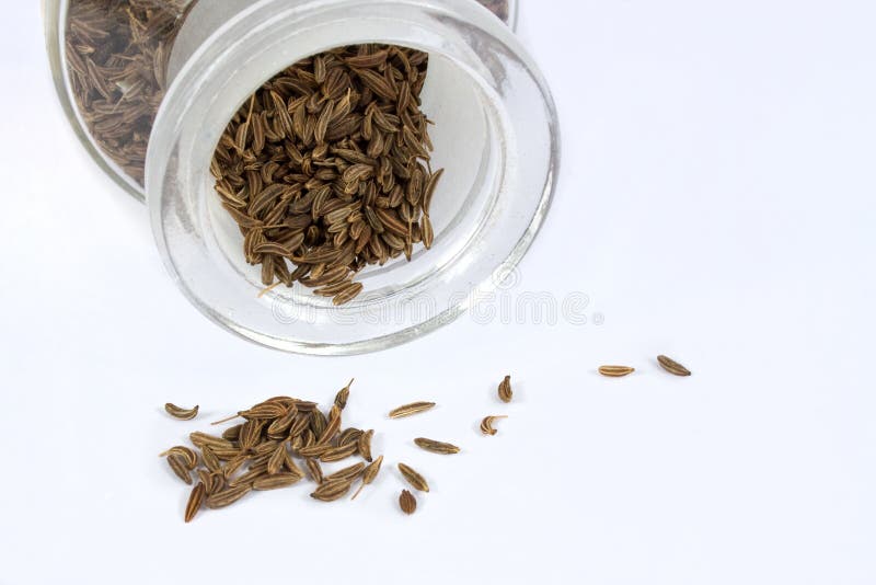 Cumin seed